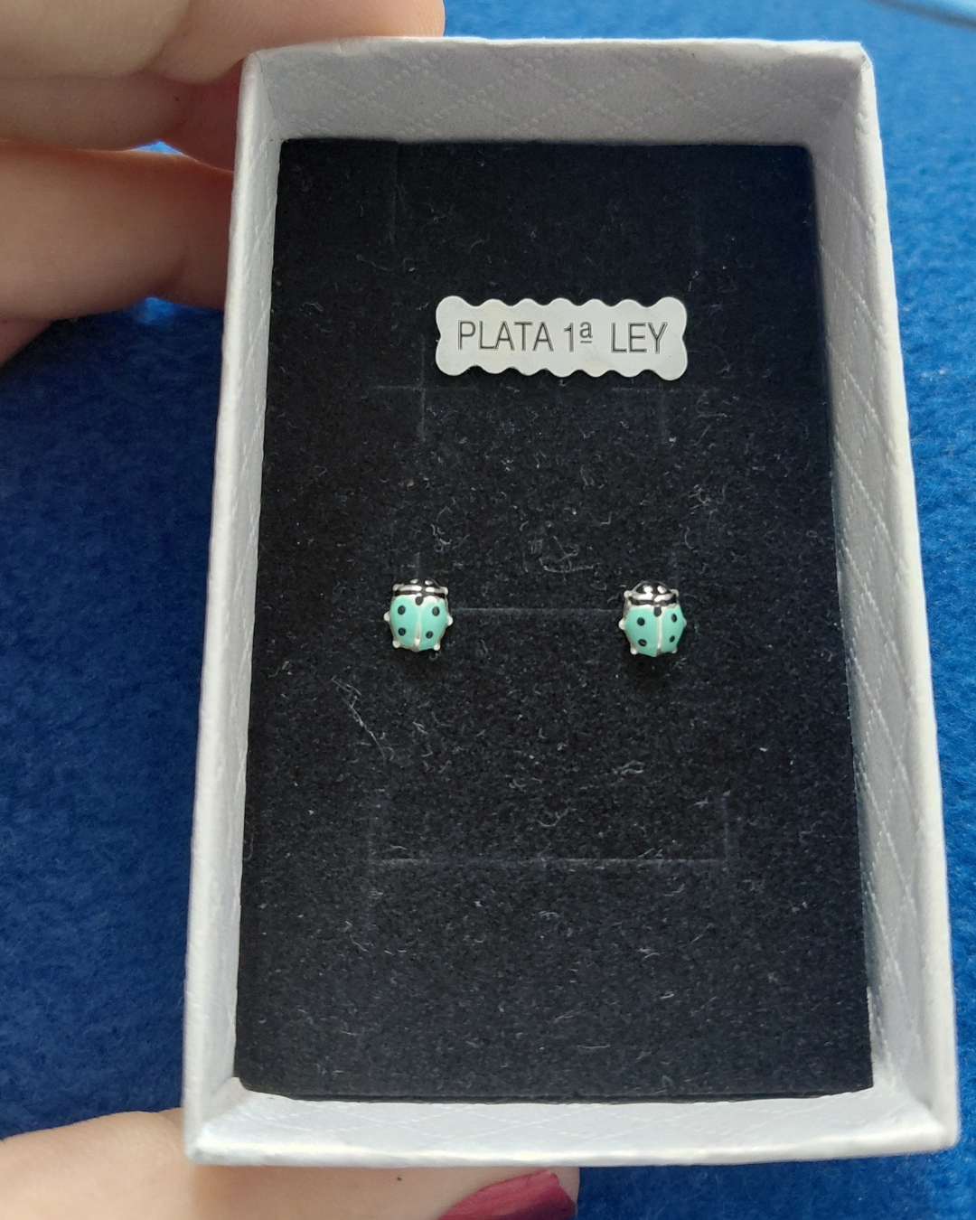 Pendientes de Plata Mariquita Esmaltada