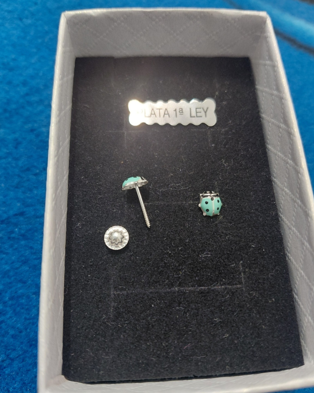 Pendientes de Plata Mariquita Esmaltada