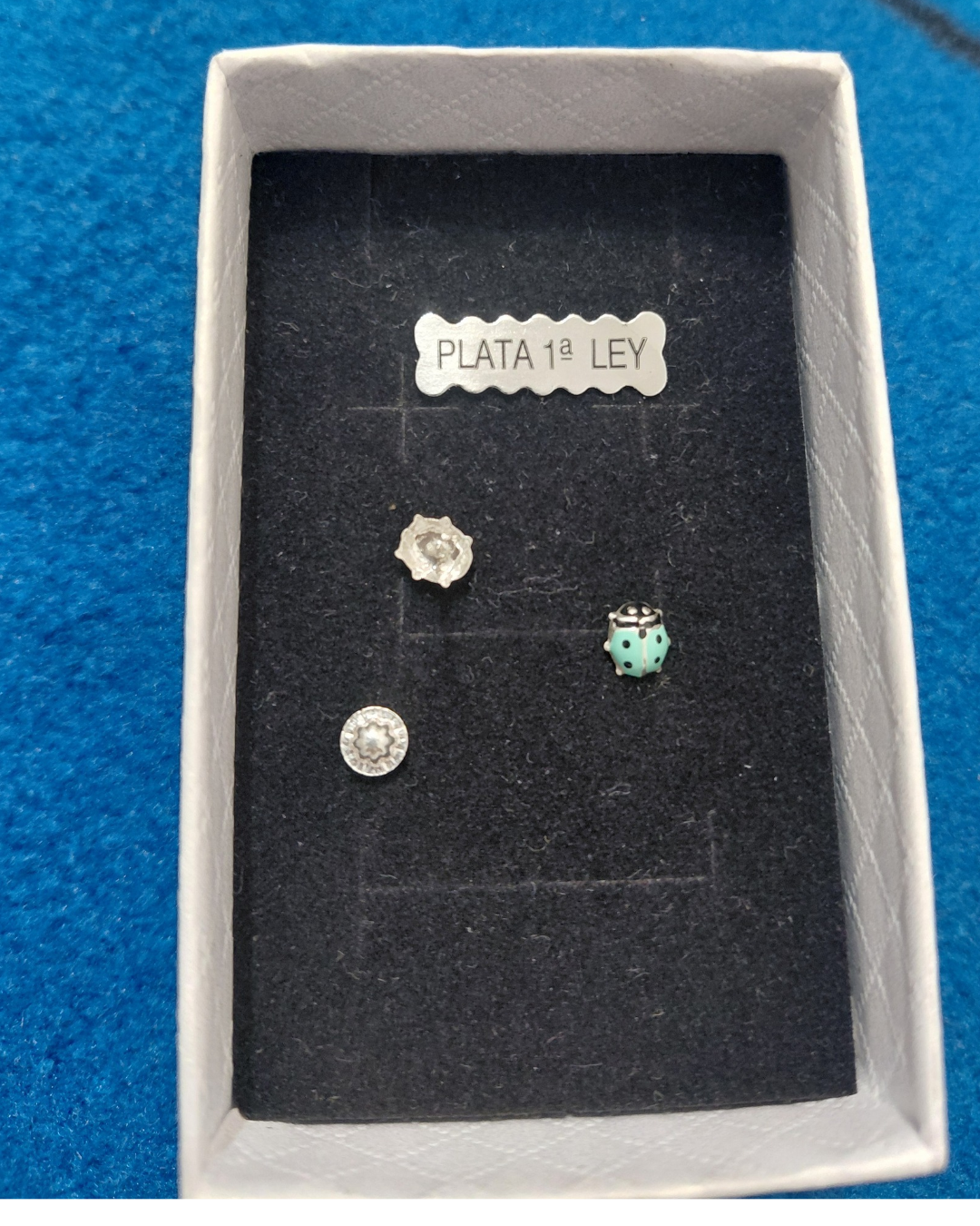 Pendientes de Plata Mariquita Esmaltada